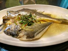 -九朝会昆曲·宴(望京店)
