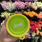春游神器，按头安利这个小绿碗
