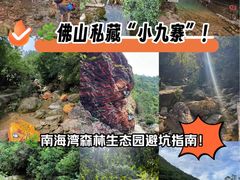 -南海湾森林生态园