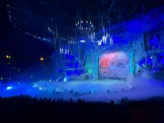 -广州长隆国际大马戏