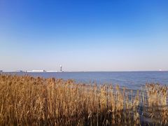 -上海吴淞炮台湾国家湿地公园