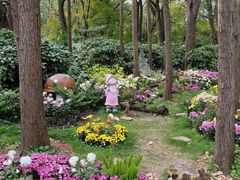 -共青国家森林公园-售票处