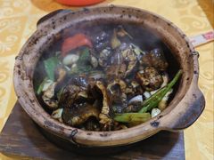 -天宝食坊·啫啫煲大排档(西华路店)