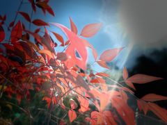 -观唐（国际）度假村温泉