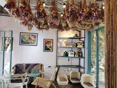 -喵屿·大理花园猫咖