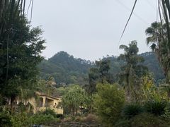 -重庆海昌加勒比海水世界