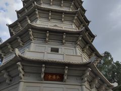 -深圳国际园林花卉博览园