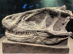 -自贡恐龙博物馆