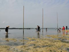 -北海金海湾红树林生态旅游区