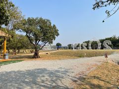 -长洲岛都市农业公园