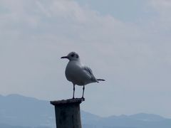 -滇池海埂公园