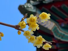 -月坛公园