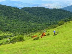 -大姆山草场