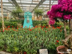 -南宫五洲植物乐园