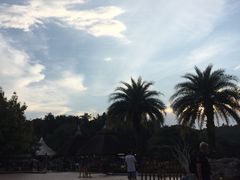 -清迈夜间动物园