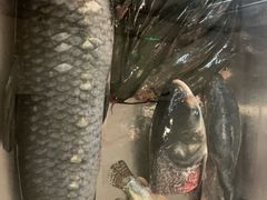 -老刘生态大鱼坊铁锅炖鱼(赛马场店)