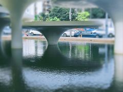 -莲花山公园