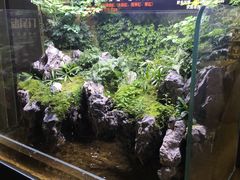 -名骏车业(园区星明店)