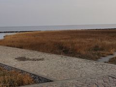 -南汇嘴观海公园