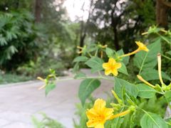 -成都市活水公园