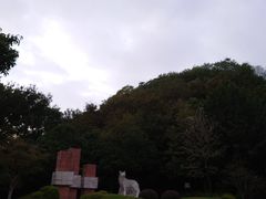 -狼山风景名胜区