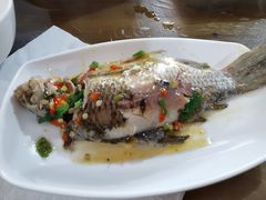 -正荣酒家葱葱鲫鱼