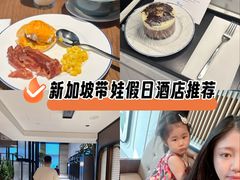 -新加坡乌节希尔顿酒店 (SG Clean)