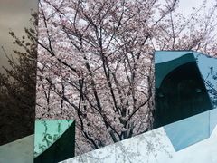 -龙美术馆(西岸馆)