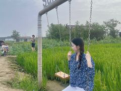 -杭州湾海上花田景区