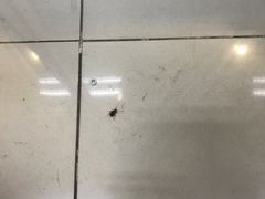 -乐宠宠物店(世纪金源店)