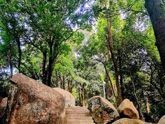 -火炉山森林公园