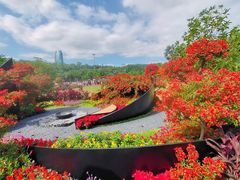 -莲花山公园