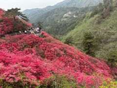 -木兰云雾山