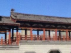 -西安青龙寺遗址景区