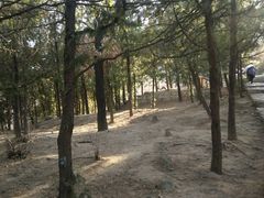 -北京鹫峰国家森林公园
