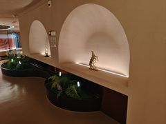 -国龙-龙之悦spa沐足中心