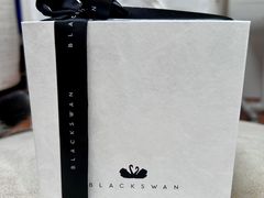 -BLACKSWAN黑天鹅(环球店)