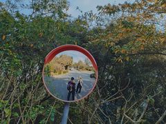 -深圳仙湖植物园-停车场