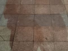 -南京奥林匹克体育中心-体育馆