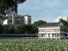 -荔湾湖公园