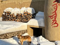 -葫芦古镇关东民俗雪乡
