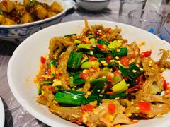 鸭掌筋-壹盏灯(惠农店)