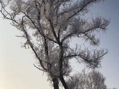 -雾凇岛