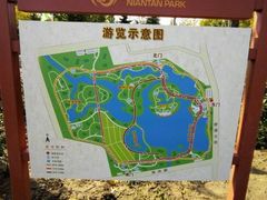 -大兴滨河森林公园