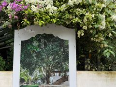 -三圣花乡旅游区