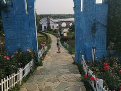 -大塘金香草谷