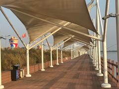 -呼兰河口湿地公园