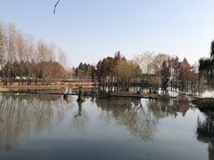 -贡湖湾湿地公园