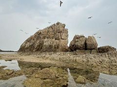 -兴城海滨风景区