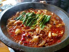 -都江堰石锅鱼